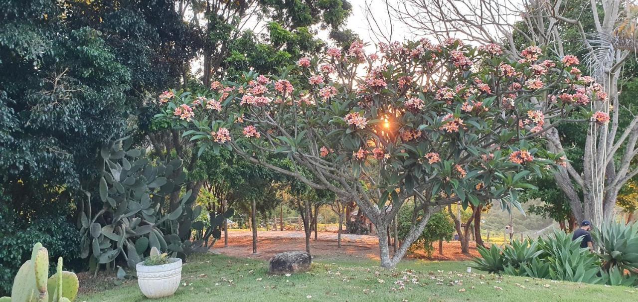 Ellementares Guest House Socorro  Dış mekan fotoğraf
